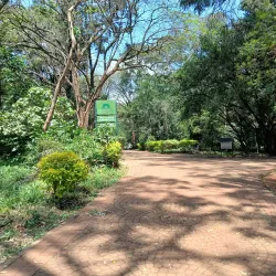 Nairobi Arboretum - Nairobi