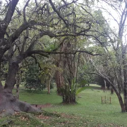 Nairobi Arboretum - Nairobi