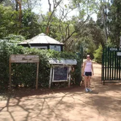 Nairobi Arboretum - Nairobi