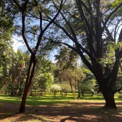 Nairobi Arboretum - Nairobi