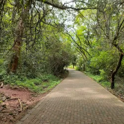 Nairobi Arboretum - Nairobi