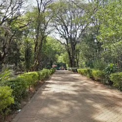 Nairobi Arboretum - Nairobi