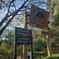 Nairobi Arboretum - Nairobi
