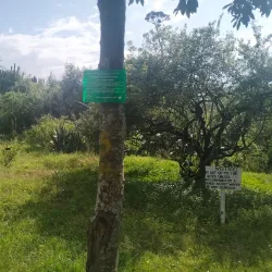 Kariandusi Prehistoric Site - Nakuru