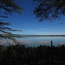 Lake Elementaita - Nakuru