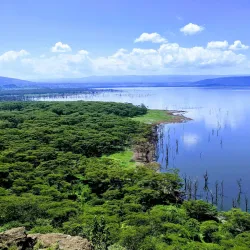 Lake Nakuru National Park - Nakuru