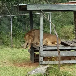 Kisumu Impala Sanctuary - Siaya