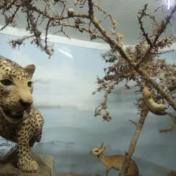 Kisumu Museum - Siaya