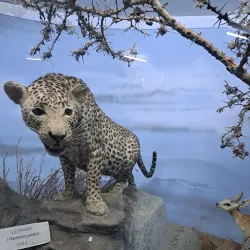 Kisumu Museum - Siaya