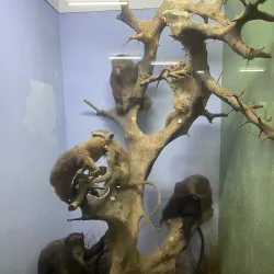 Kisumu Museum - Siaya