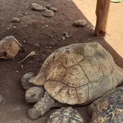 Kisumu Museum - Siaya