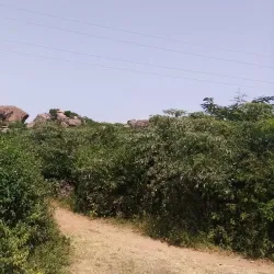 Ndere Island National Park - Siaya