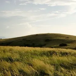 Ndere Island National Park - Siaya