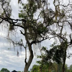 Ndere Island National Park - Siaya
