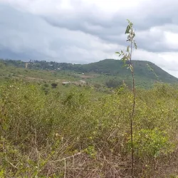 Nyang'oma Kogelo Village - Siaya