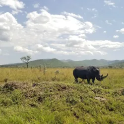 Ruma National Park - Siaya