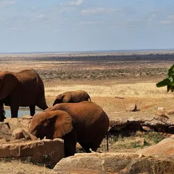 Sheila Safari Lodge - Voi