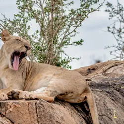 Taita Hills Wildlife Sanctuary - Voi