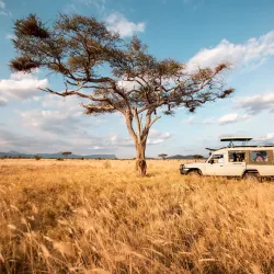 Taita Hills Wildlife Sanctuary - Voi