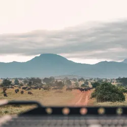 Taita Hills Wildlife Sanctuary - Voi