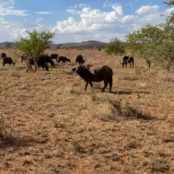 Taita Hills Wildlife Sanctuary - Voi