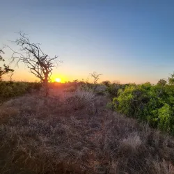 Tsavo East National Park - Voi
