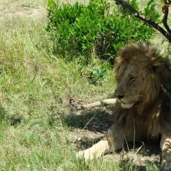 Tsavo East National Park - Voi