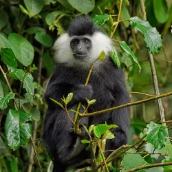 Tsavo West National Park - Voi
