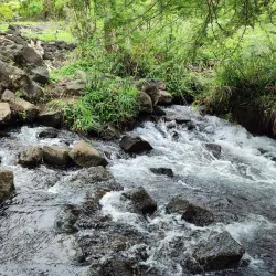 Tsavo West National Park - Voi