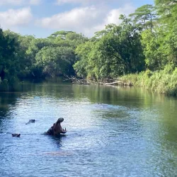 Tsavo West National Park - Voi