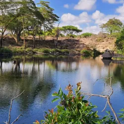 Tsavo West National Park - Voi