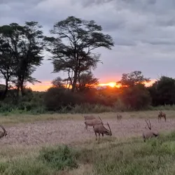 Tsavo West National Park - Voi