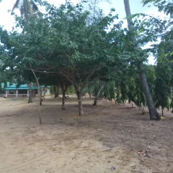 Arabuko Sokoke Forest Reserve - Watamu