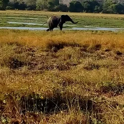 Arabuko Sokoke Forest Reserve - Watamu