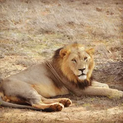 Juma Mosque Watamu - Watamu