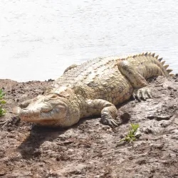 Juma Mosque Watamu - Watamu