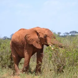 Juma Mosque Watamu - Watamu