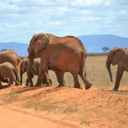 Juma Mosque Watamu - Watamu