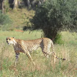 Juma Mosque Watamu - Watamu