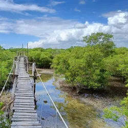 Mida Creek - Watamu