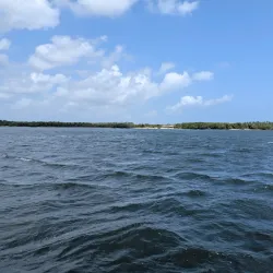 Mida Creek - Watamu
