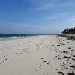Watamu Beach - Watamu