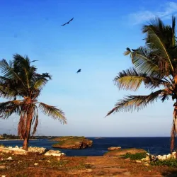 Watamu Beach - Watamu