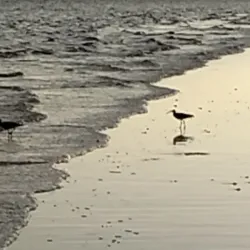 Watamu Beach - Watamu