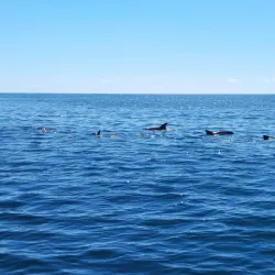 Watamu Marine National Park - Watamu
