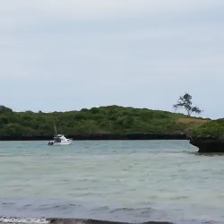 Watamu Marine National Park - Watamu
