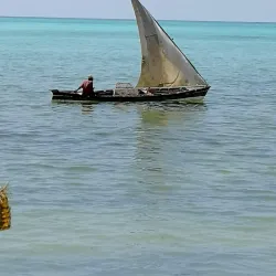 Watamu Marine National Park - Watamu