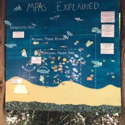 Watamu Turtle Watch - Watamu