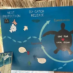 Watamu Turtle Watch - Watamu