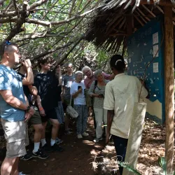 Watamu Turtle Watch - Watamu